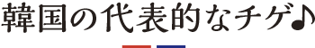 韓国の代表的なチゲ♪