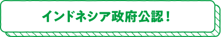 インドネシア政府公認！